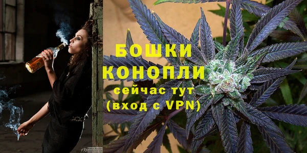 PSILOCYBIN Сосновка