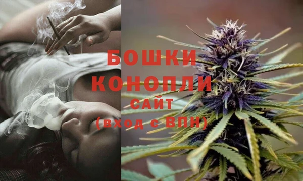 кокс Инсар