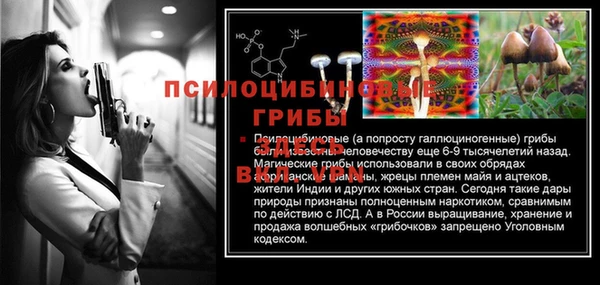 гашиш Инта