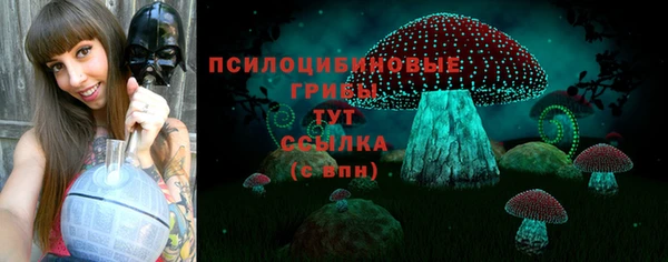 эйфоретик Зеленокумск