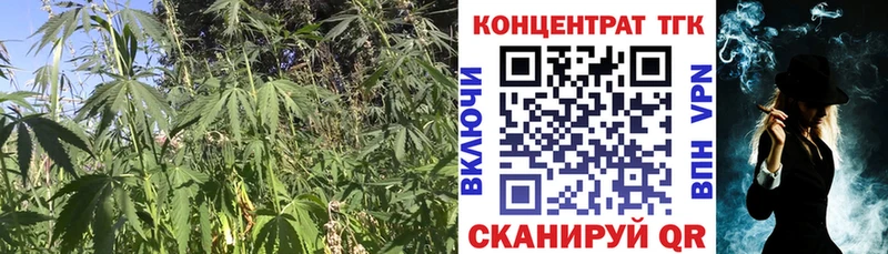 Купить где  Дно  Дистиллят ТГК THC oil 