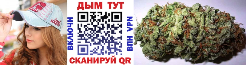 Купить  Дно  Конопля план 